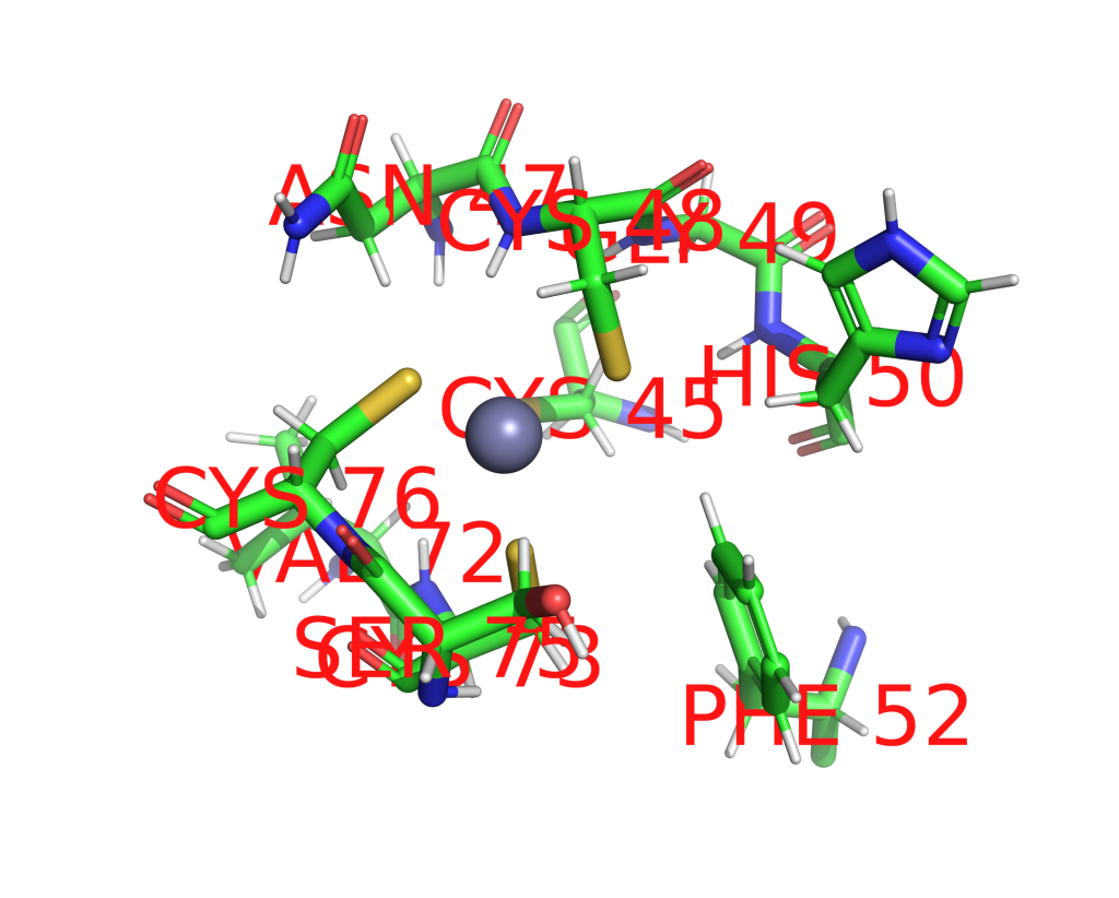 Zinc binding site 2 out of 2 in 2yqm Zinc binding site 2 out of 2 in 2yqm