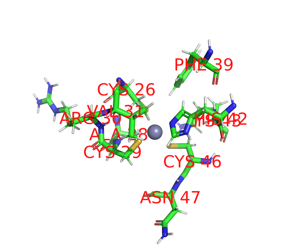 Zinc binding site 2 out of 2 in 2yqq Zinc binding site 2 out of 2 in 2yqq